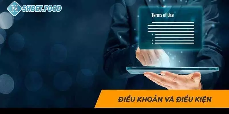 Điều khoản và điều kiện