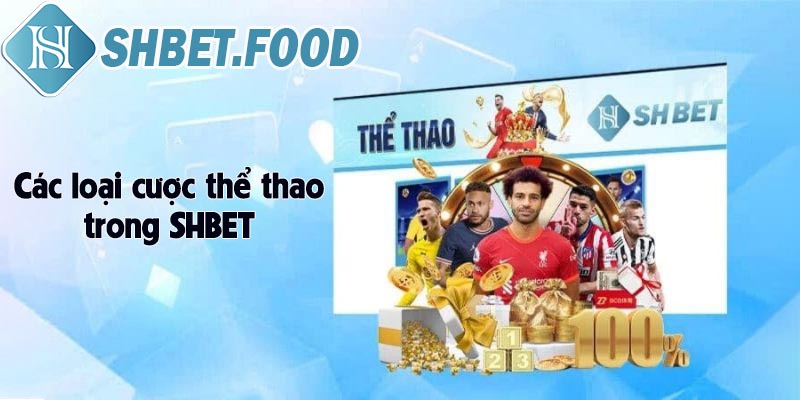 Mẹo cược thể thao Shbet