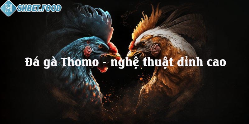 Đá gà Thomo